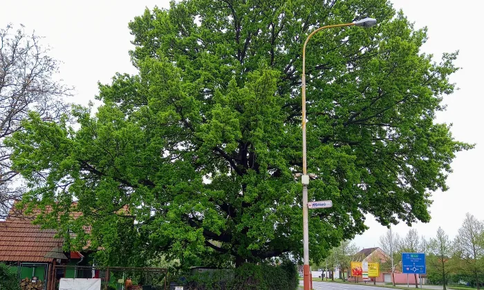Kroměřížská Ulice