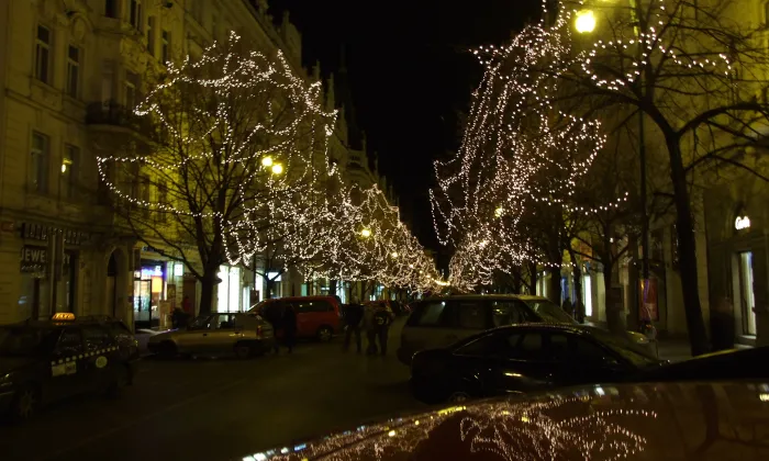 Palác hrabat z Lissau