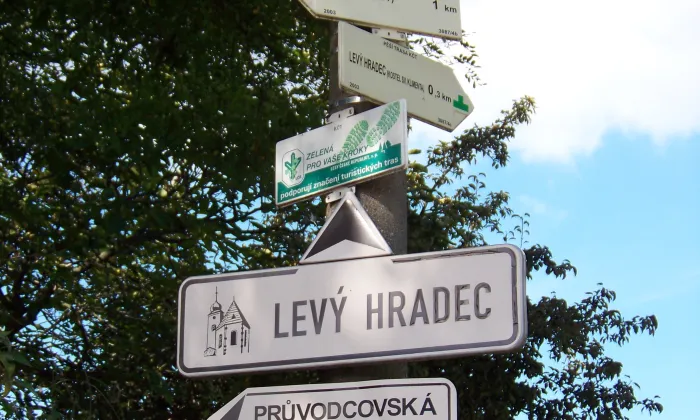 Žalov