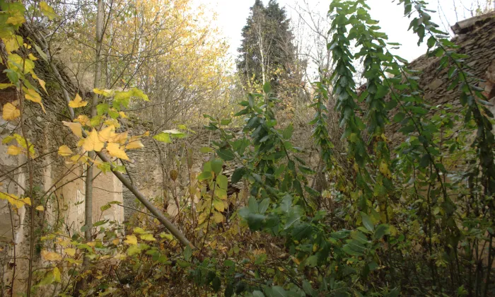 kaple svatého Archanděla Michaela