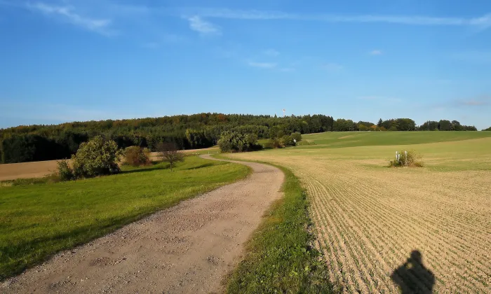 Kostel Nalezení svatého Kříže (Nepřívěc)