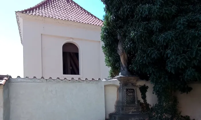 Kostel Nanebevzetí Panny Marie (Lobkovice)