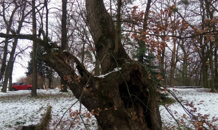 Kostel Navštívení Panny Marie (Lechovice)