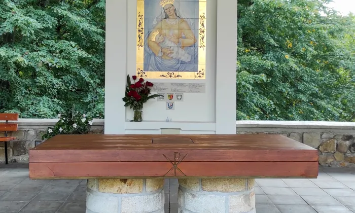 Kostel Panny Marie Sněžné (Provodov)