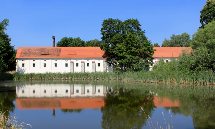 Kostel Všech svatých (Třebešice)