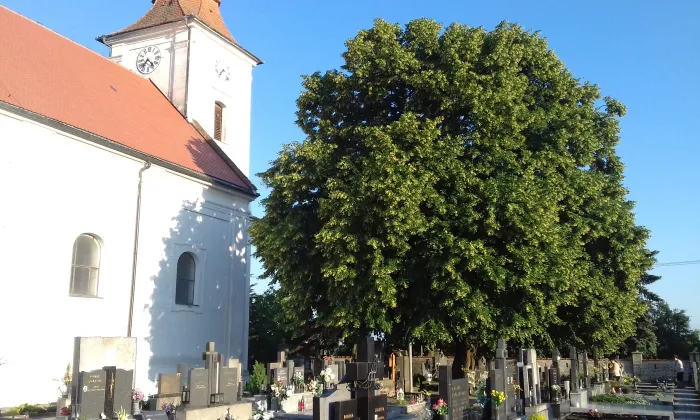 Kostel svaté Anny (Bořetice)