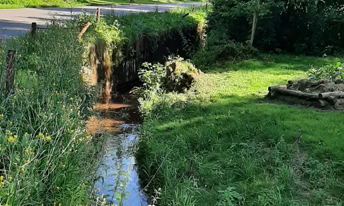 Kostel svaté Anny (Prostřední Staré Buky)