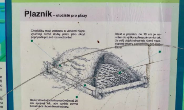 Kostel svaté Hedviky Slezské (Doubrava)