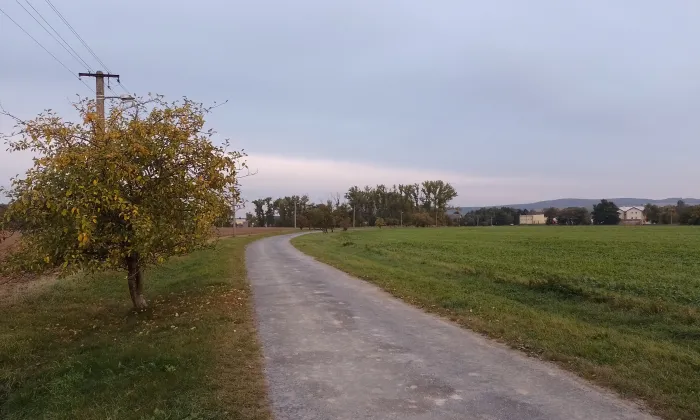 Kostel svaté Kateřiny (Slezské Rudoltice)