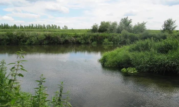 Kostel svaté Kunhuty (Jevišovka)