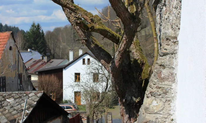 Kostel svatého Bartoloměje (Rejštejn)