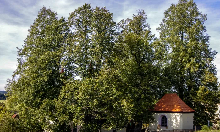 Kostel svatého Jakuba Většího (Sněžná)