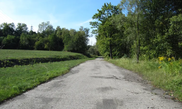 Kostel svatého Jindřicha (Karviná)
