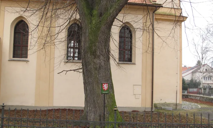 Kostel svatého Martina (Solany)