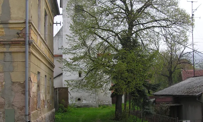 Kostel svatého Martina (Očihov)