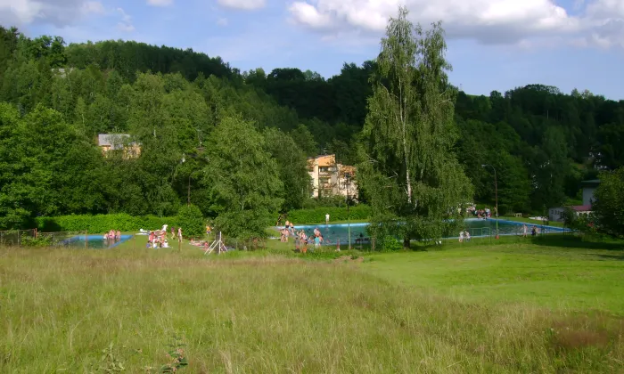 Kostel svatého Martina (Zlatá Olešnice)