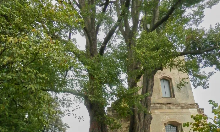 Kostel svatého Michaela archanděla (Blatno)