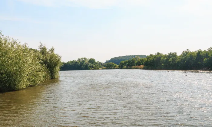 Kostel svatého Mikuláše Tolentinského (Vysoké Veselí)