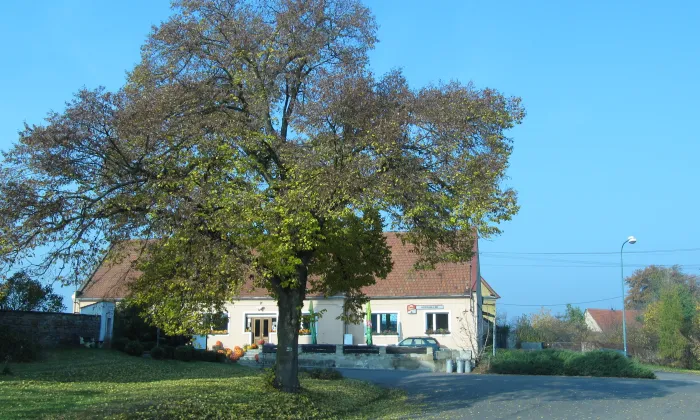 Kostel svatého Petra v okovech