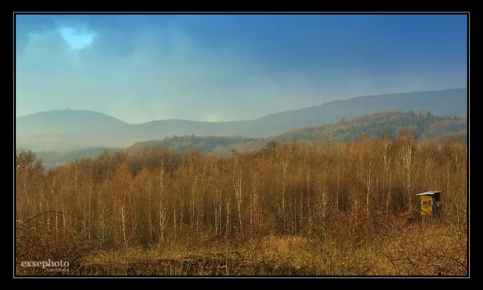 Kostel svatého Prokopa (Krupka)
