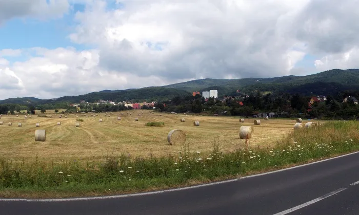 Kostel svatého Prokopa (Krupka)