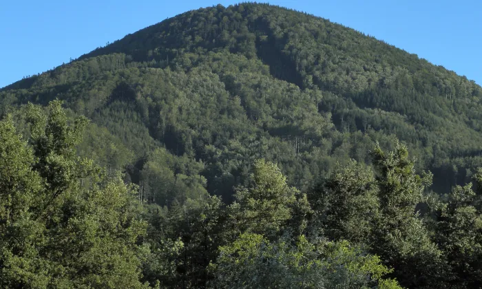Kostel svatého Prokopa a svaté Barbory