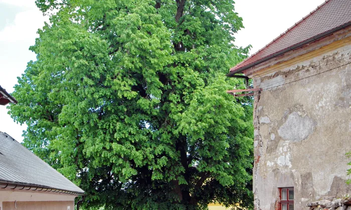 Kostel svatého Vavřince (Ovesné Kladruby)