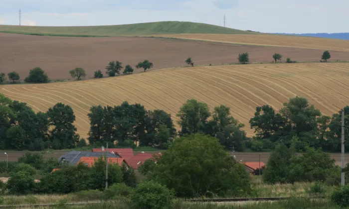 Kostel svatého Václava (Holubice)