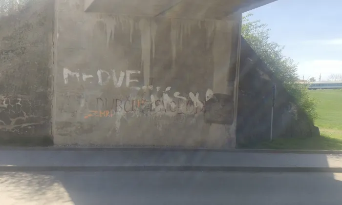 Kostel svatého Václava (Holubice)