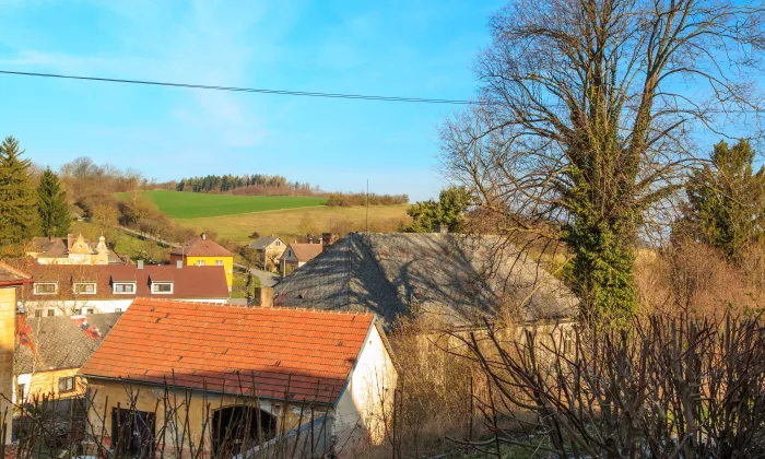 Kostel svatého Václava (Vápenný Podol)