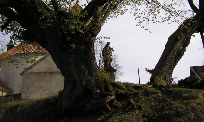 Kostel svatého Václava (Libouň)