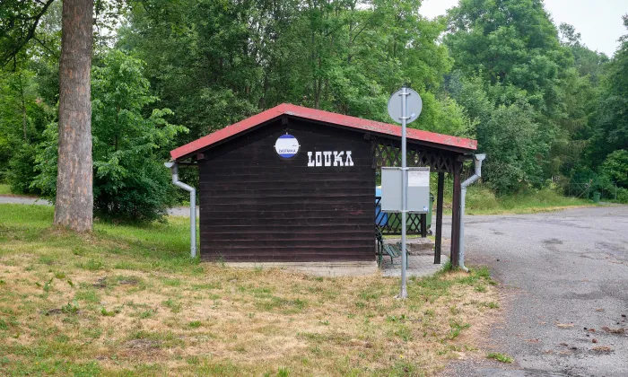 Kostel svatého Václava (Louka)