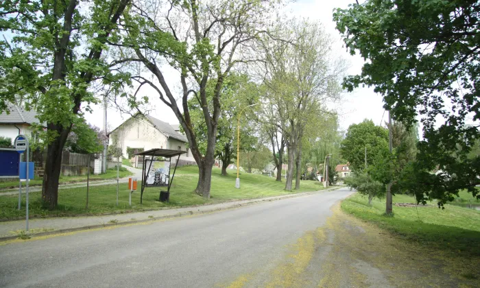 Kostel svatých Petra a Pavla (Borovnice)