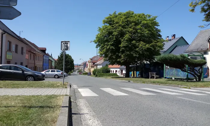 Kostel svatých Petra a Pavla (Planá)
