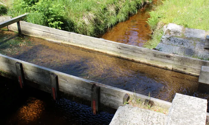 Rosenauerova kaplička