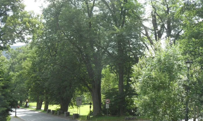 kaple svatého Huberta (Karlova Studánka)