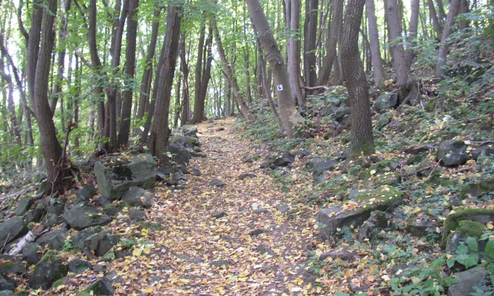 kaple svatého Jana Nepomuckého (Děkovka)