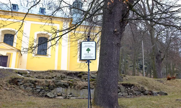 kaple svatého Jana Nepomuckého (Andělská Hora)