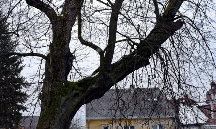 kaple svatého Jana Nepomuckého (Andělská Hora)