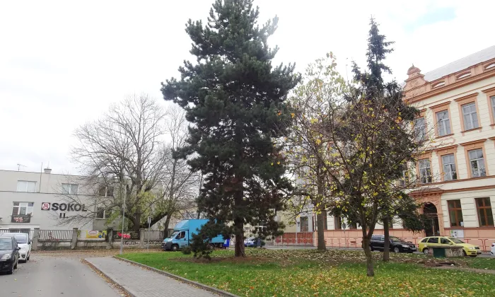 kaple svatého Kříže (Prostějov)