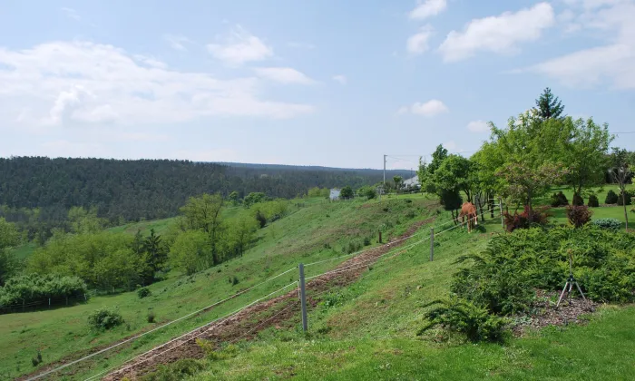 kaple svatého Petra a Pavla (Biskoupky)