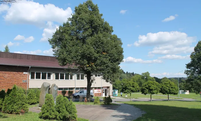 kostel Povýšení svatého Kříže (Město Libavá)