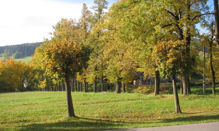 kostel sv. Jana Nepomuckého (Zálesní Lhota)