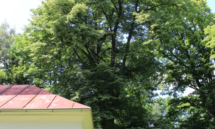kostel svaté Anny (Hájek)