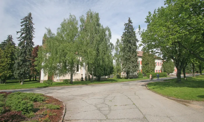 kostel svaté Máří Magdaleny (Nepolisy)