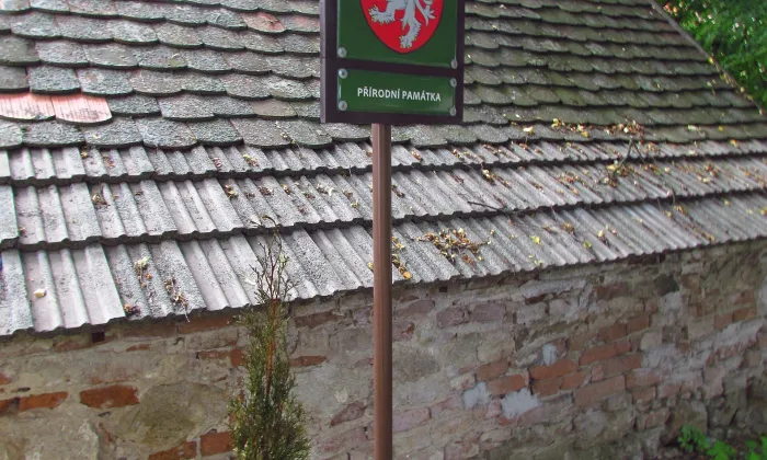 kostel svatého Martina (Biskupice)