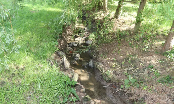 kostel svatého Petra a Pavla (Přešovice)