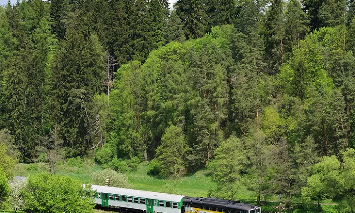 kostel svatých Petra a Pavla (Petrovice)