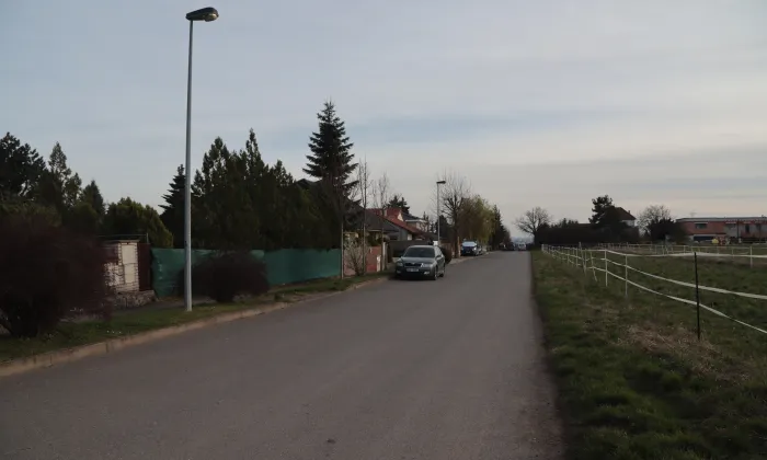 Bodláková