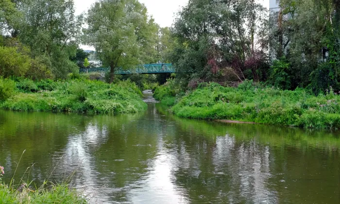 Park Meandr